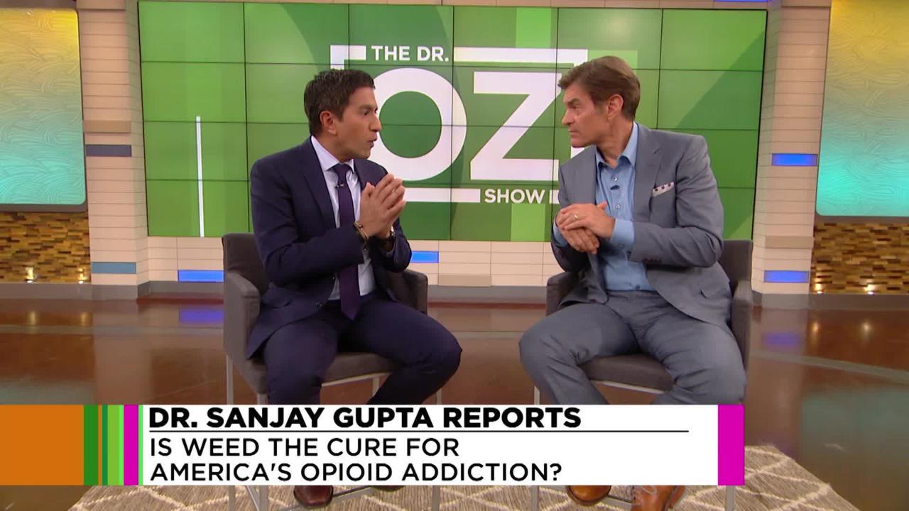 Image result for dr oz on cbd